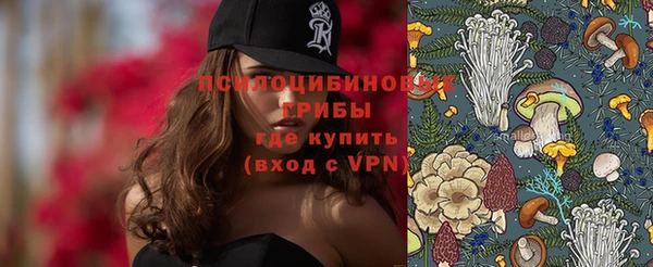 дмт Аркадак