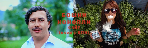 молекула духа Баксан