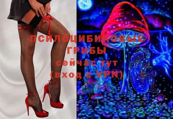 дмт Аркадак